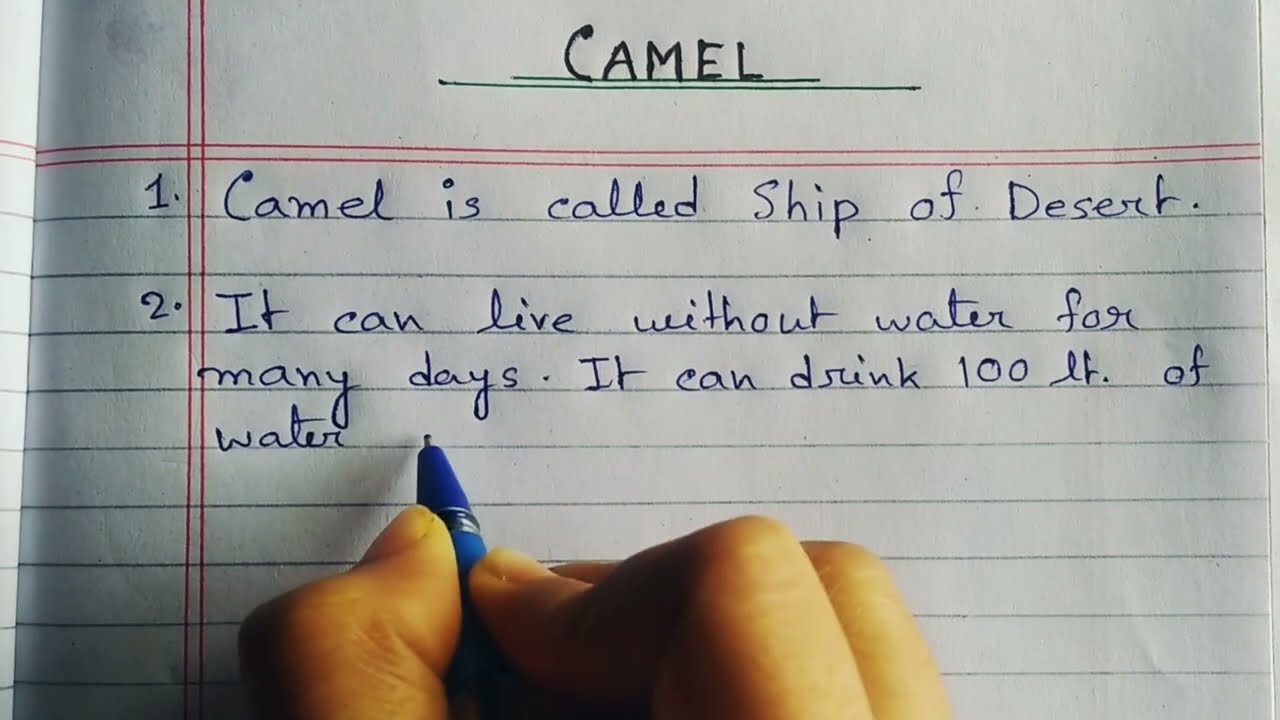 10 lines Essay on Camel 🐫 || Camel Essay in English