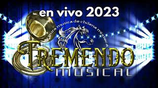 Video thumbnail of "TREMENDO MUSICAL en VIVO 2023 chilena D.A.R."