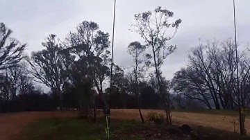 Phased Vertical Array on 20M