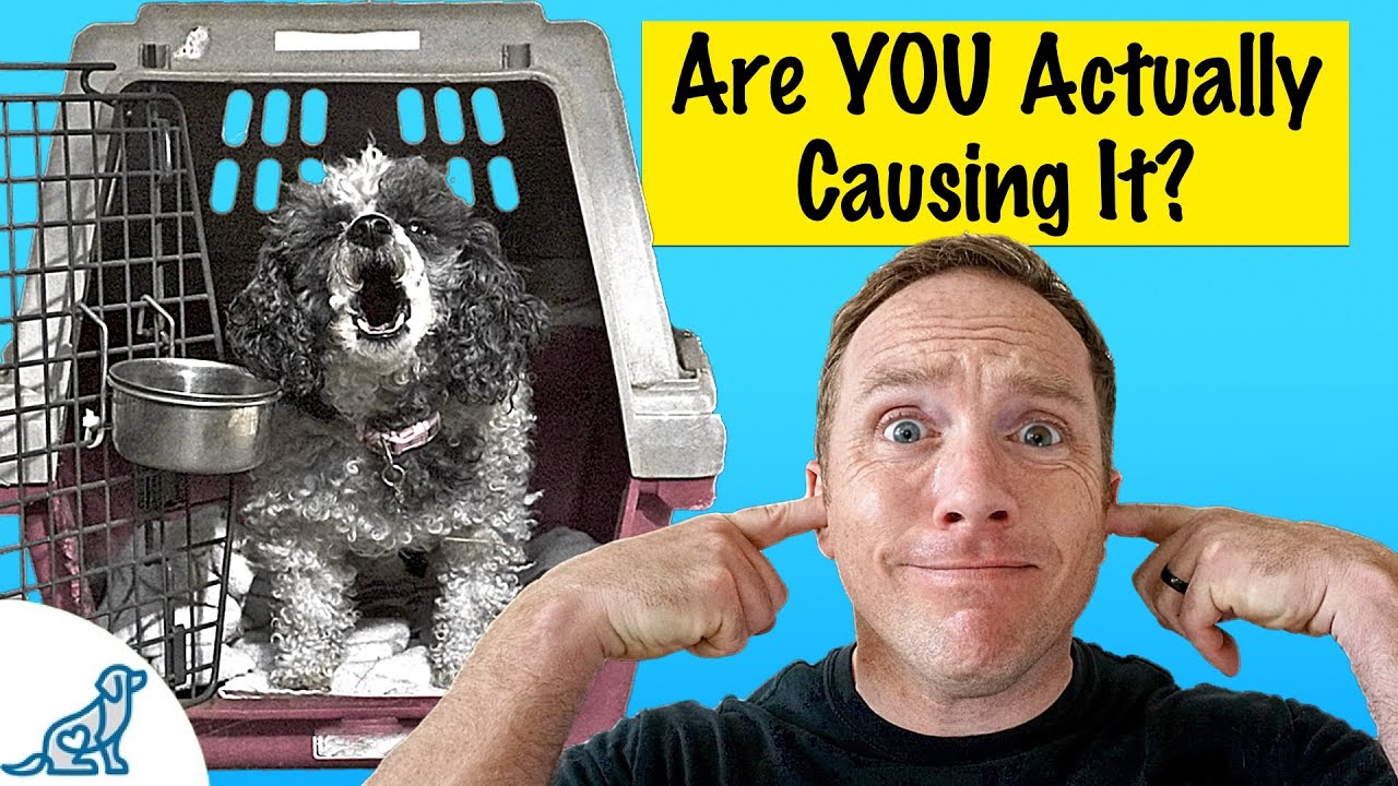 how to stop puppy from barking in crate