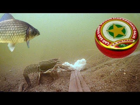 Бальзам «Звездочка» работает?! Подводная съемка.