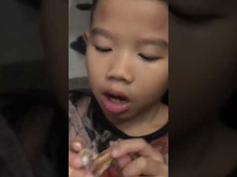 Video Bộ răng 9630 của bé sò |#shorts - youtube