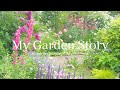 《庭づくり4年間の記録》優しい花色を組み合わせたバラと宿根草の庭《T's Gardenのガーデニング》