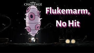 How To Beat Flukemarm Radiant Hollow Knight