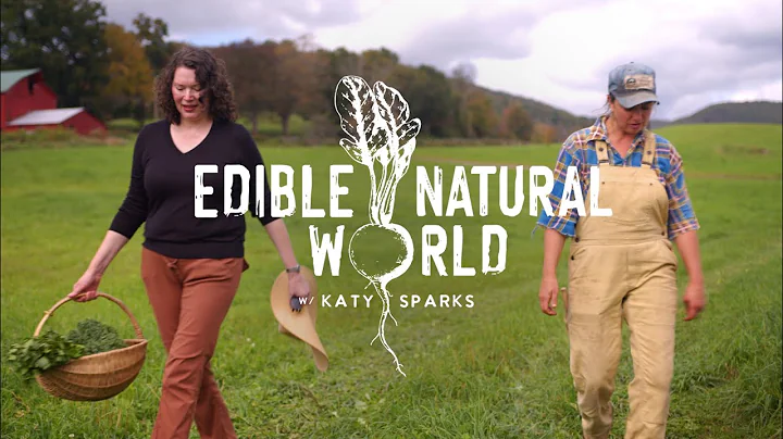 'The Edible Natural World' Meet The Maker: Molly C...