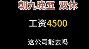 Java真实面试，这公司能去吗 点点储物柜真实面试，面试官问的难不难？#程序员  #java #java面试   #应届生求职   #java白泽