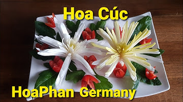 Tỉa Hoa Cúc từ Hành Baro/ Lauch/ Leeks/ HoaPhan Germany/ Love Carving.