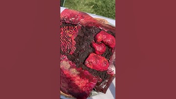 Decoding crime! 🕵🏻‍♂️🔍 Pramaan 2025 unravels the Lattha Kand case with forensic precision!