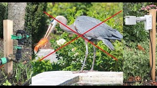 How  to scares the animals in your garden with a self made animal repeller   (Water Alarm System)