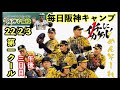 【毎日阪神キャンプ】第1クール 3日目総　午後 2022春季阪神タイガース宜野座&安芸キャンプを全て一緒に見て総復習⚾️初見&コメント大歓迎  #阪神タイガース#阪神キャンプ#阪神キャンプライブ