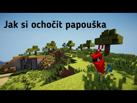 Video: Jak se v minecraftu ochočí papoušek?