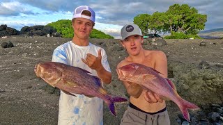 Spearfishing For Giant Moana Kali!! ( Epic Catch and Cook!!! )