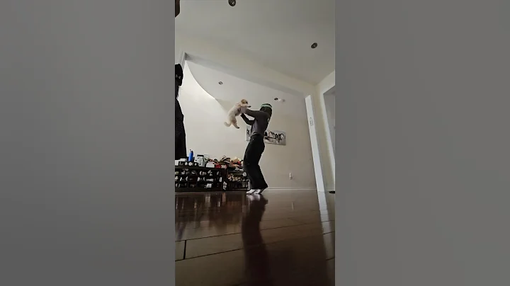 August - Taylor Swift Dog Cam Trend