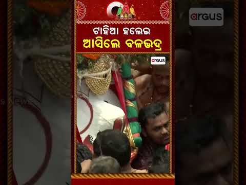 ଟାହିଆ ହଲେଇ ଆସିଲେ ବଳଭଦ୍ର | Bahuda Jatra 2026 | Puri Jagannath | Sharadhabali | Argus News