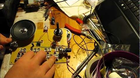 Atari Punk Organ using 555 timer chips