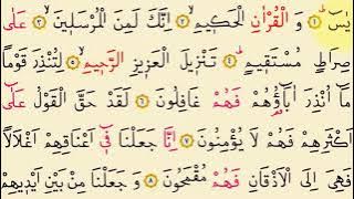 Kur’an Surja Jasin | Ndiqeni dhe ju 4K