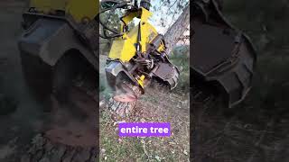 Machine Eats Trees in Seconds