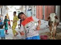 Bakra Eid Funny Moments bakra Eid ke janwar Ki funny video#bakra #eid #funny #viralvideo