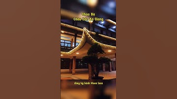 Chùa Bà Chúa Xứ Châu Đốc An Giang về đêm lên đèn lộng lẫy #chaudoc #angiang #dulichangiang