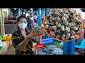 Buy fresh ocean snail from market in my hometown  - Market show - Ocean snail yellow noodle salad