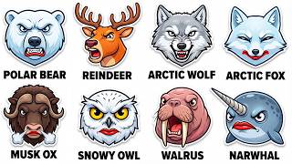 Every Animal in North Pole Explain