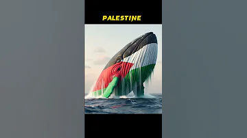 أكبر الحوت من الدول الإسلامية وغير الإسلامية 