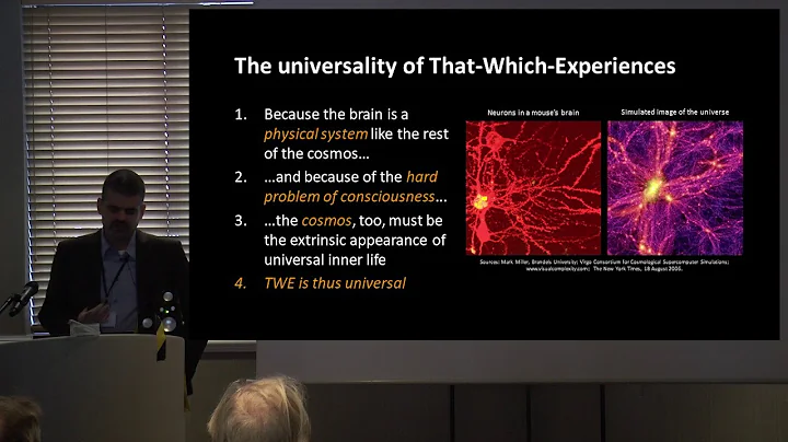 Bernardo Kastrup - The Nature of Consciousness