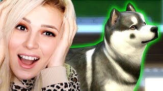 YENİ KÖPEĞİM TUTİ İLE TANIŞIN (The Sims 4)