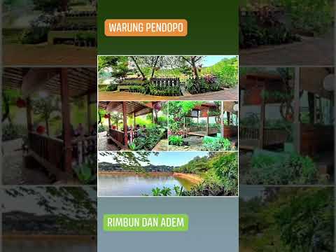 Warung Pendopo, rimbun