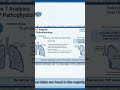 Teen With Sudden Chest Pain &amp; Breathing Difficulty | Spontaneous Pneumothorax Quiz