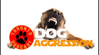 Dog Aggression Problems, Issues, Symptoms and Doggie Boot Camp (Addressing Aggressive Dog Behavior) by The Toronto Dog Whisperer AKA - Dog Nerd 1,031 views 4 years ago 43 minutes