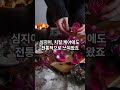 “하지정맥, 다한증, 치질까지? -사치프러스 이 에센오일 하나로 해결해보세요쇼츠