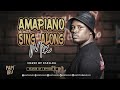 Amapiano 2024 sing along mix | 10 May 2024 | Chilled Vibes | Best of Amapiano 2024