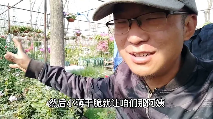 昨天破新低今天觸底反彈，戰況直線上升，菜苗上市，掙錢掙錢 - 天天要聞
