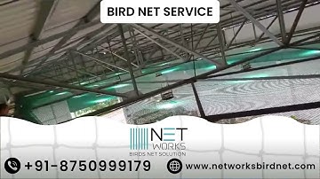 Bird Net Installation in Gurgaon | Protect Your Home and Office
