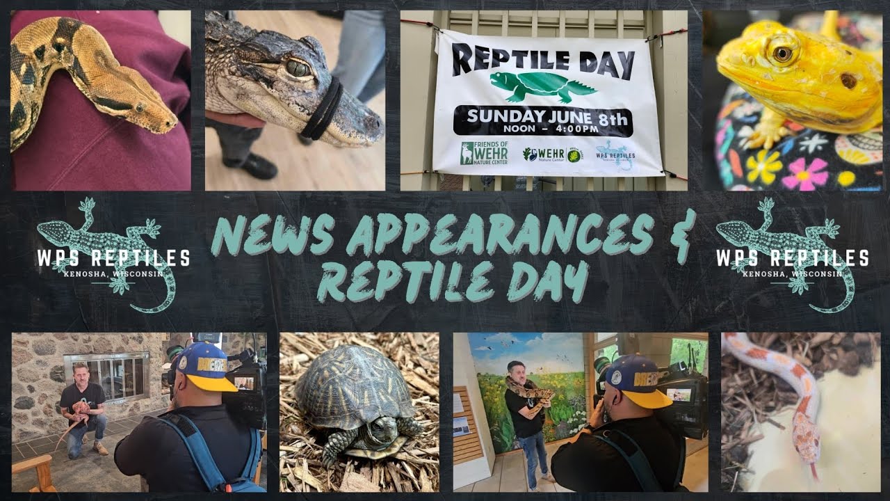 Reptile Day 2025 at Wehr Nature Center (Franklin, WI) + FOX6 News