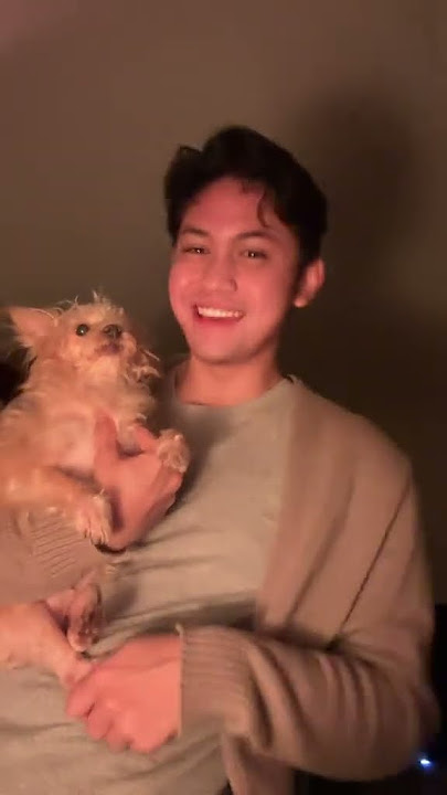 🐶