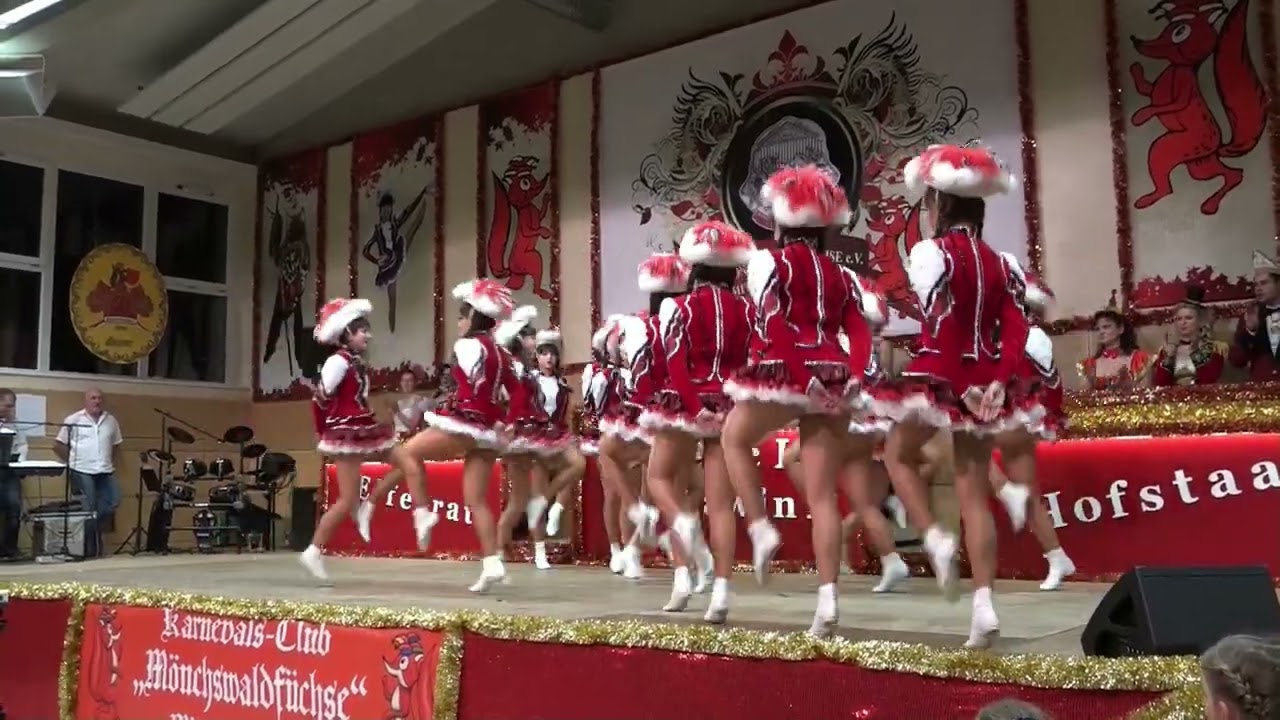 Prinzengarde 2018 der Mönchswaldfüchse Mitteleschenbach