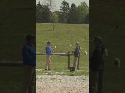 Lakeland Farm and