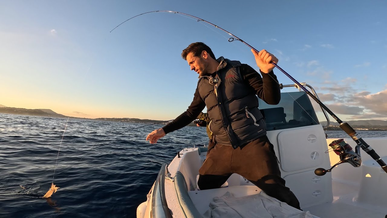 Peshkimi Kalamarit me imitusa