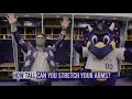 Dinger's Brain Break