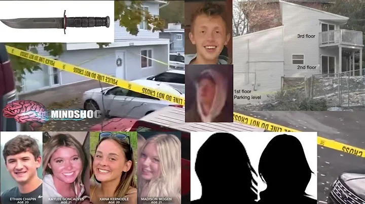 MOSCOW MURDERS - NEW INFO! (IDAHO TRUE CRIME UPDATES)