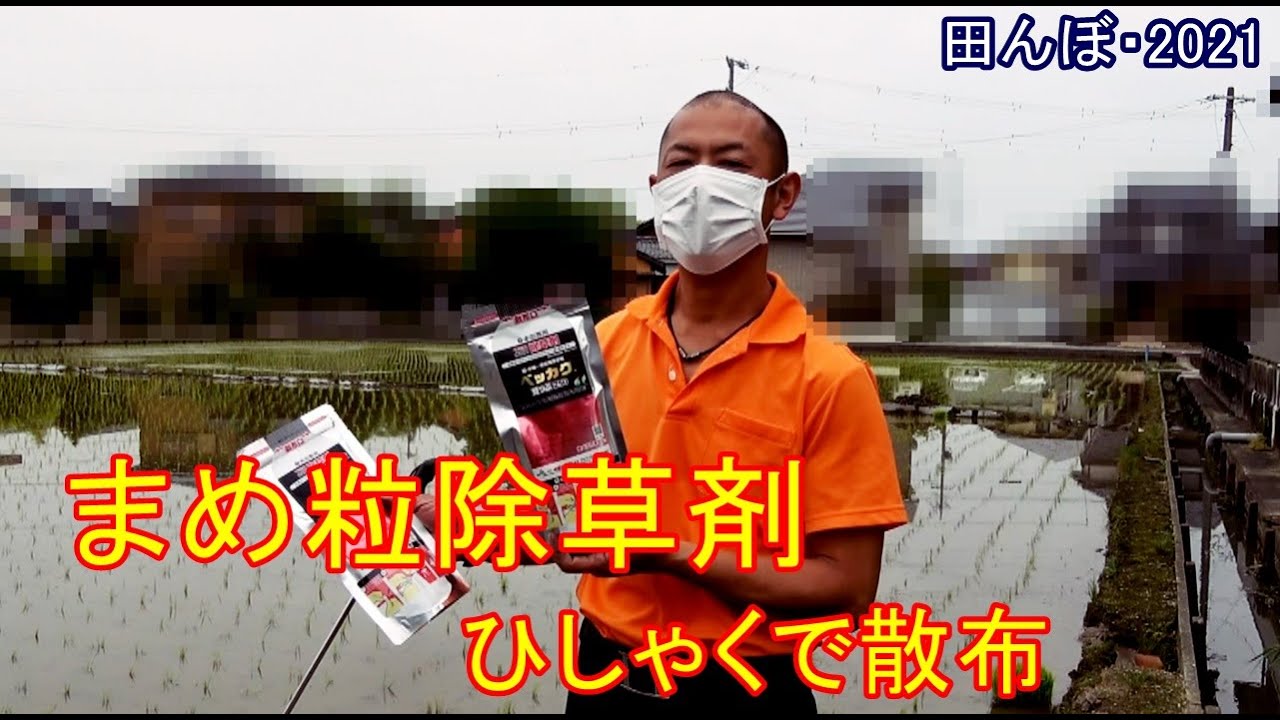 Bean-based herbicide, sprayed with a ladle, Bekkaku Mame-tsubu 250