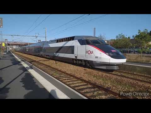 Spot en gare de Lisieux le 5/02/22 (Omneo, TER XGC, TGV In⭕ui Réseau Duplex, TER BGC)