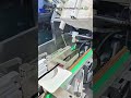 Automatic Cartoning Machine for Tuck End Boxes