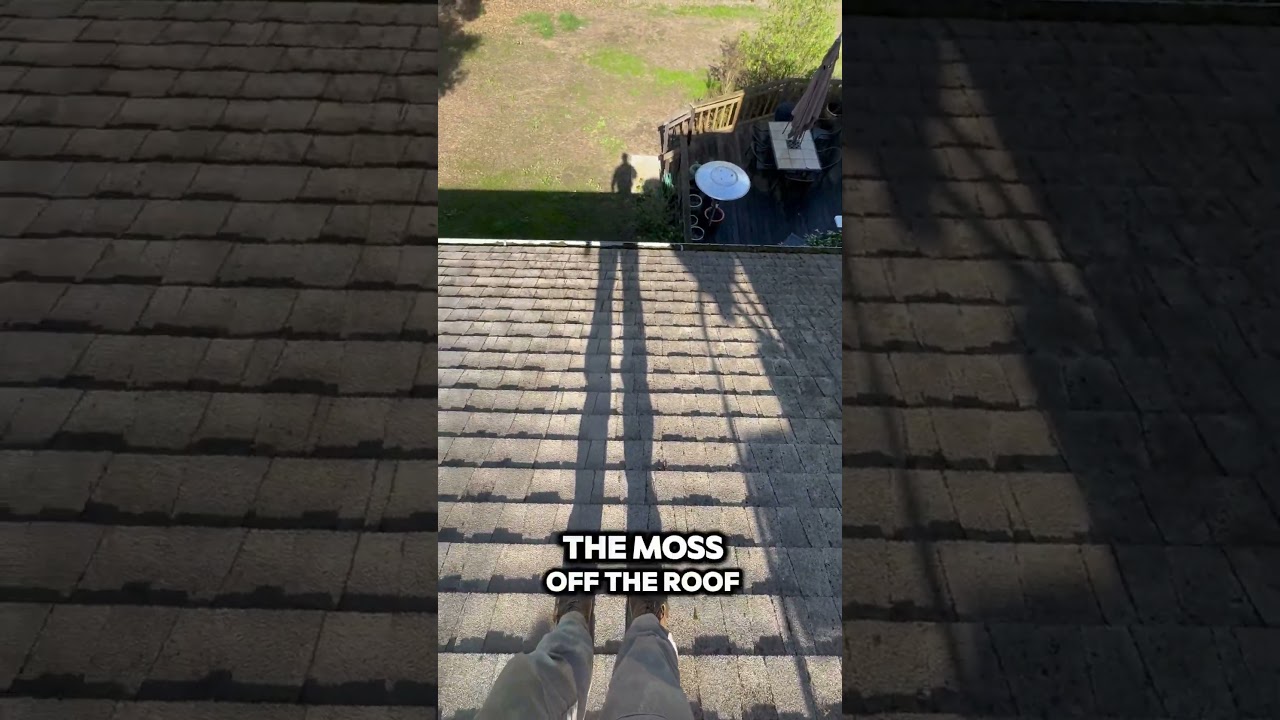 How to make $500-$1000 a day just cleaning roofs. 