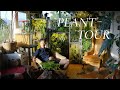 Inside JiaHao’s Plant-filled Home | houseplant collection