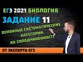 11 задание ЕГЭ | Основные систематические категории, их соподчинённость | БИОЛОГИЯ ЕГЭ 2021