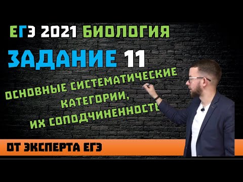 Видео: Что такое систематические вариации?