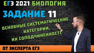 видео: 11 задание ЕГЭ | Основные систематические категории, их соподчинённость | БИОЛОГИЯ ЕГЭ 2021 картинка: 11 задание ЕГЭ | Основные систематические категории, их соподчинённость | БИОЛОГИЯ ЕГЭ 2021